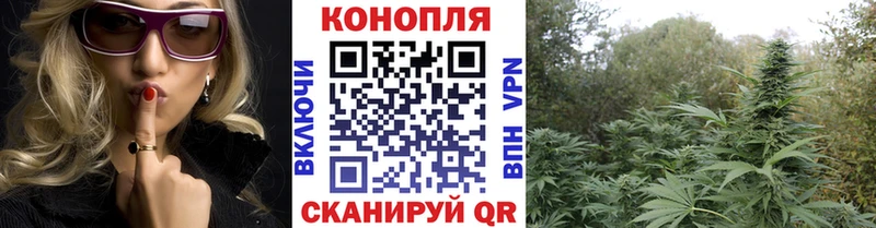Конопля Ganja Сорск